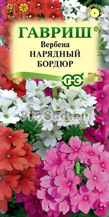 Вербена низкорослая Нарядный Бордюр, смесь