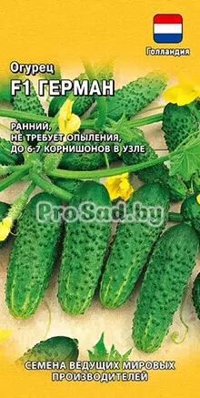 Огурец F1 Герман (Голландия)