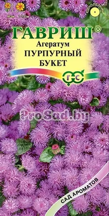 Агератум Пурпурный букет