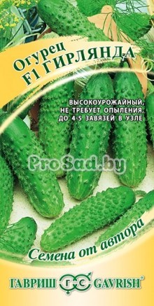 Огурец F1 Гирлянда
