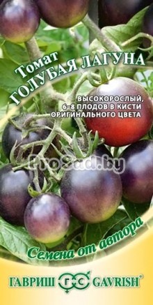 Томат Голубая лагуна