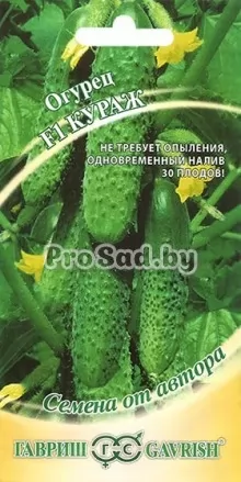 Огурец F1 Кураж