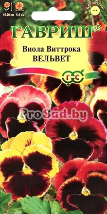 Виола Виттрока (Анютины глазки) Вельвет, смесь