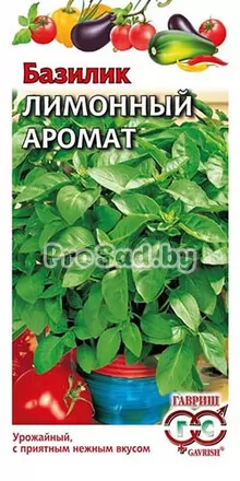 Базилик Лимонный аромат