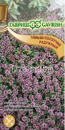 Тимьян ползучий (чабрец) Радужный