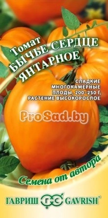Томат Бычье сердце Янтарное