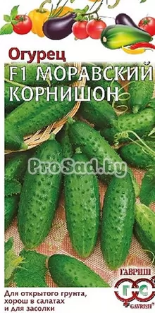 Огурец F1 Моравский корнишон