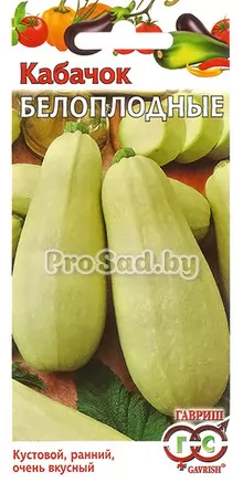 Кабачок Белоплодные