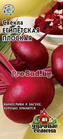 Свекла Египетская плоская